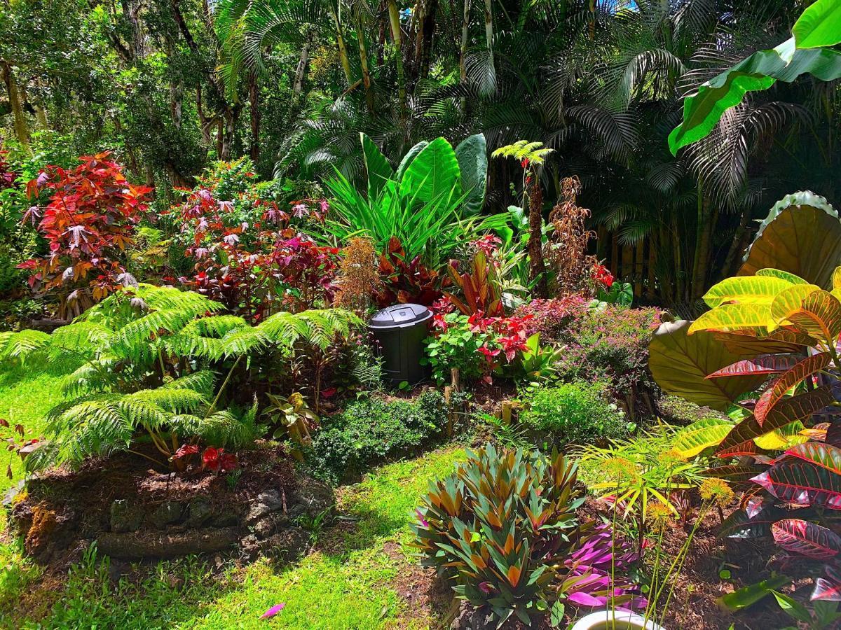 Phoenix Garden Pahoa Экстерьер фото