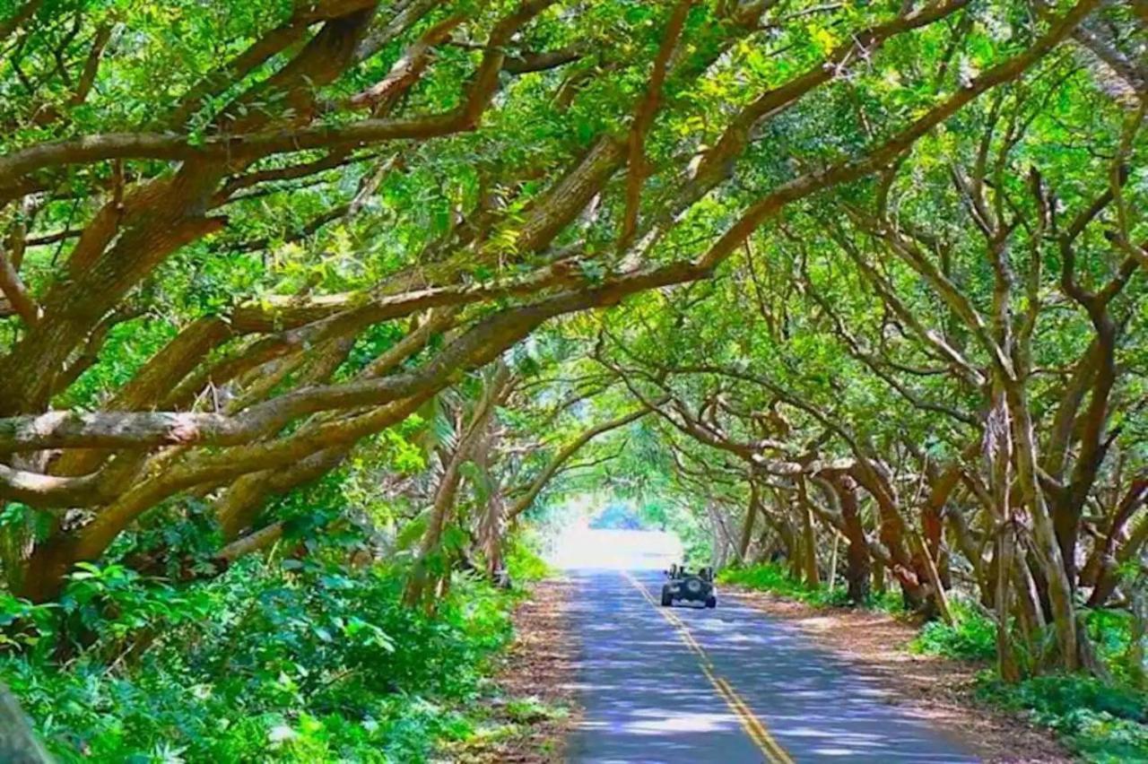 Phoenix Garden Pahoa Экстерьер фото