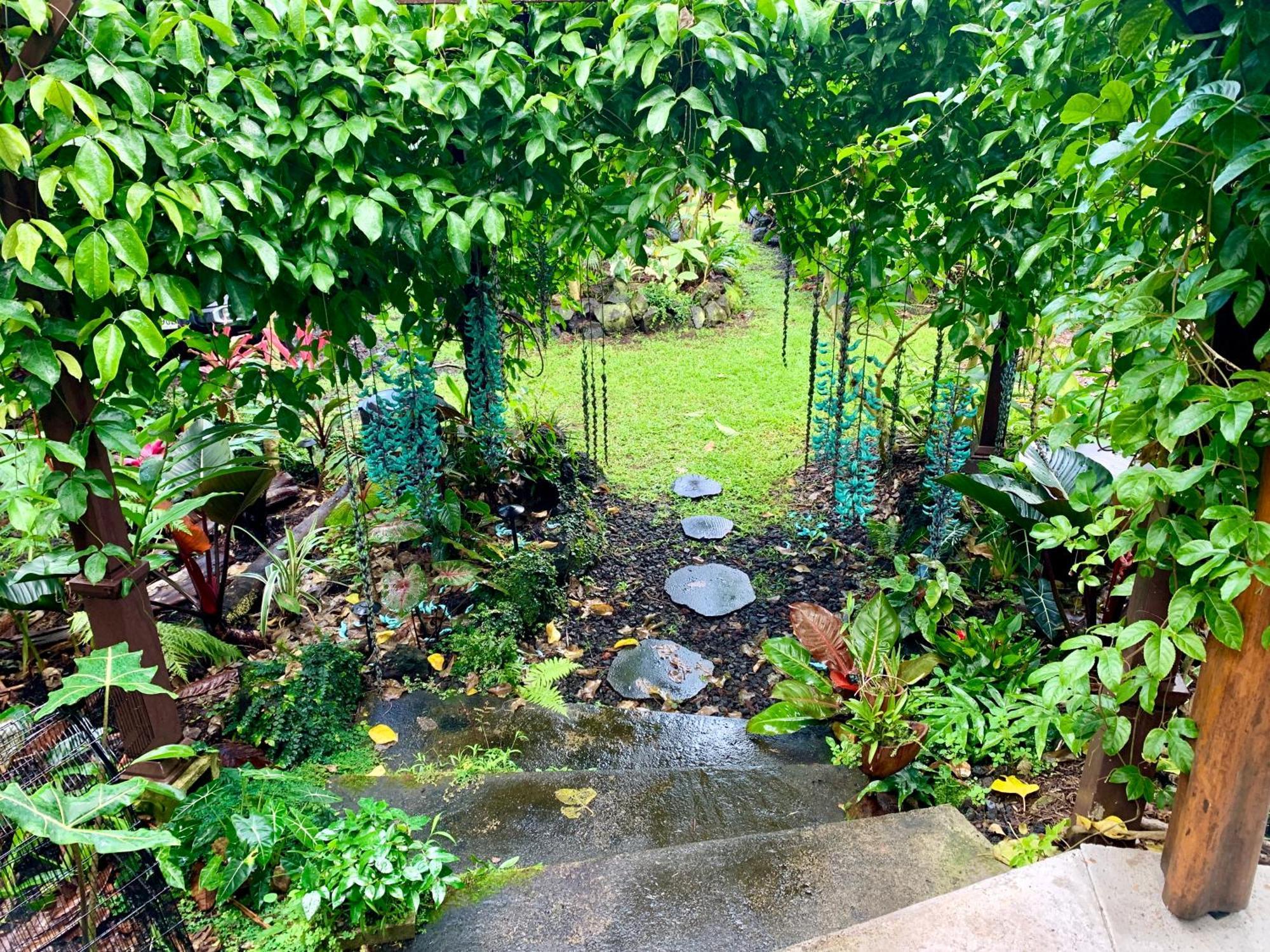 Phoenix Garden Pahoa Экстерьер фото